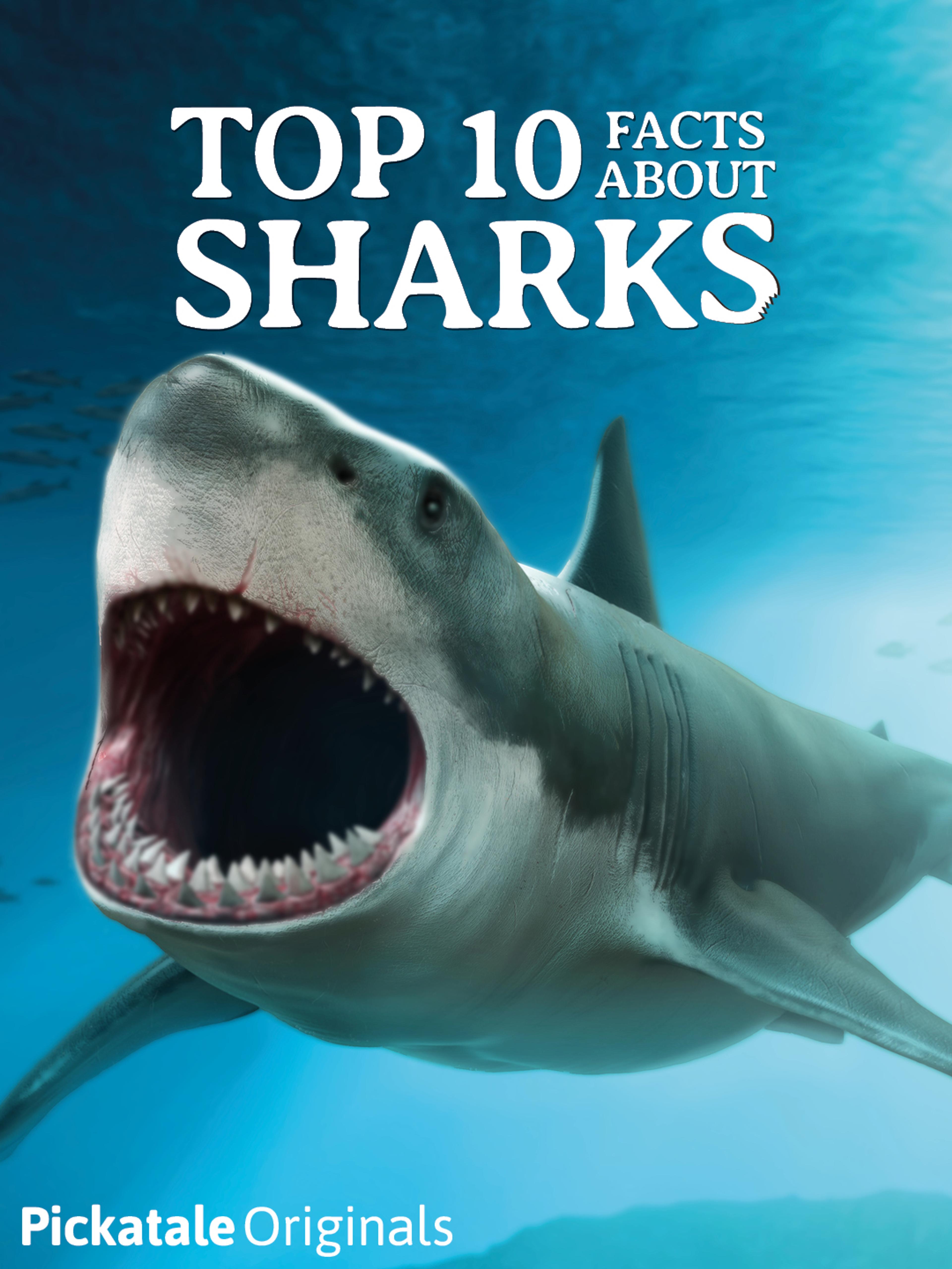 Top Ten Facts About Sharks