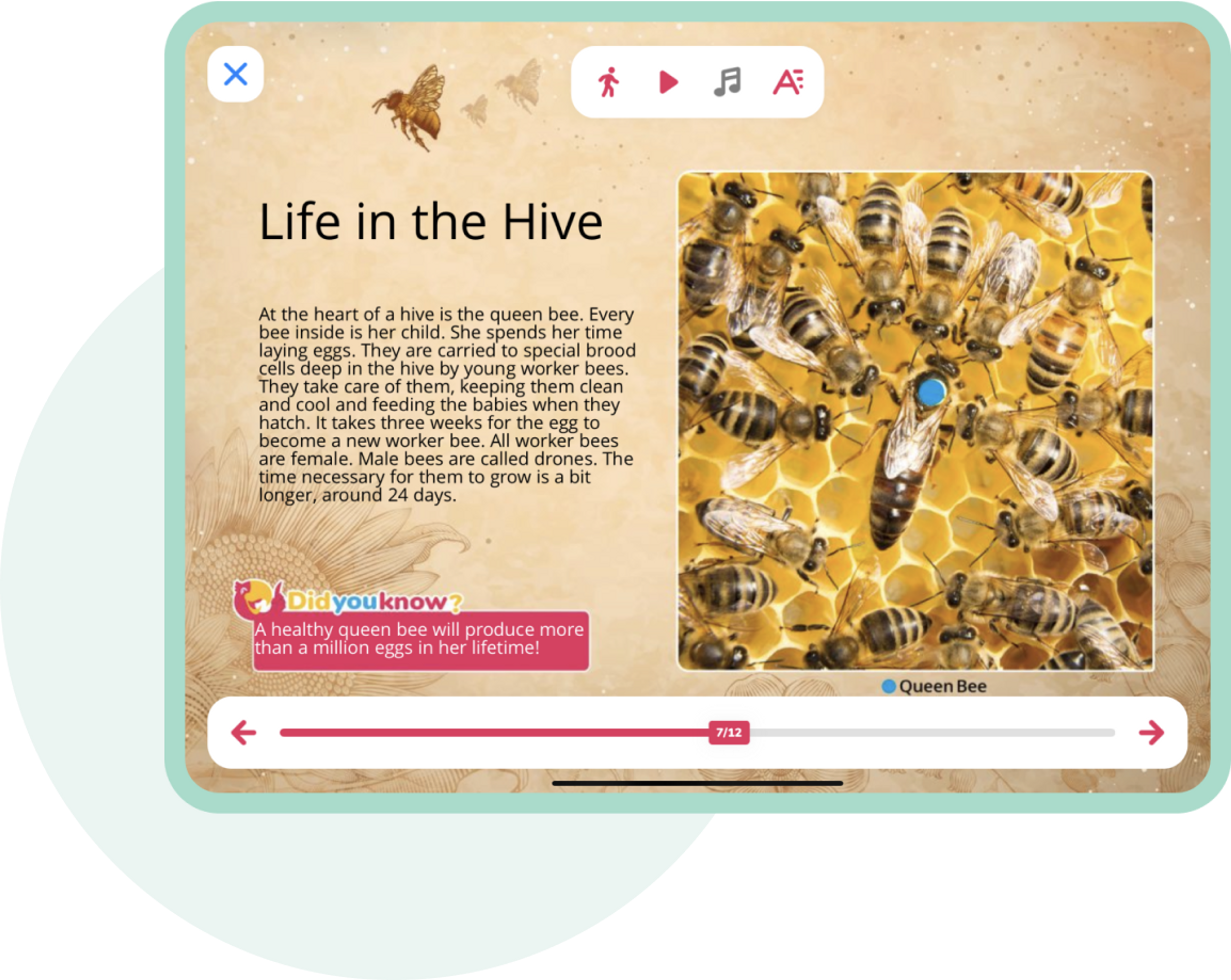 Tablet presenting a book about bees