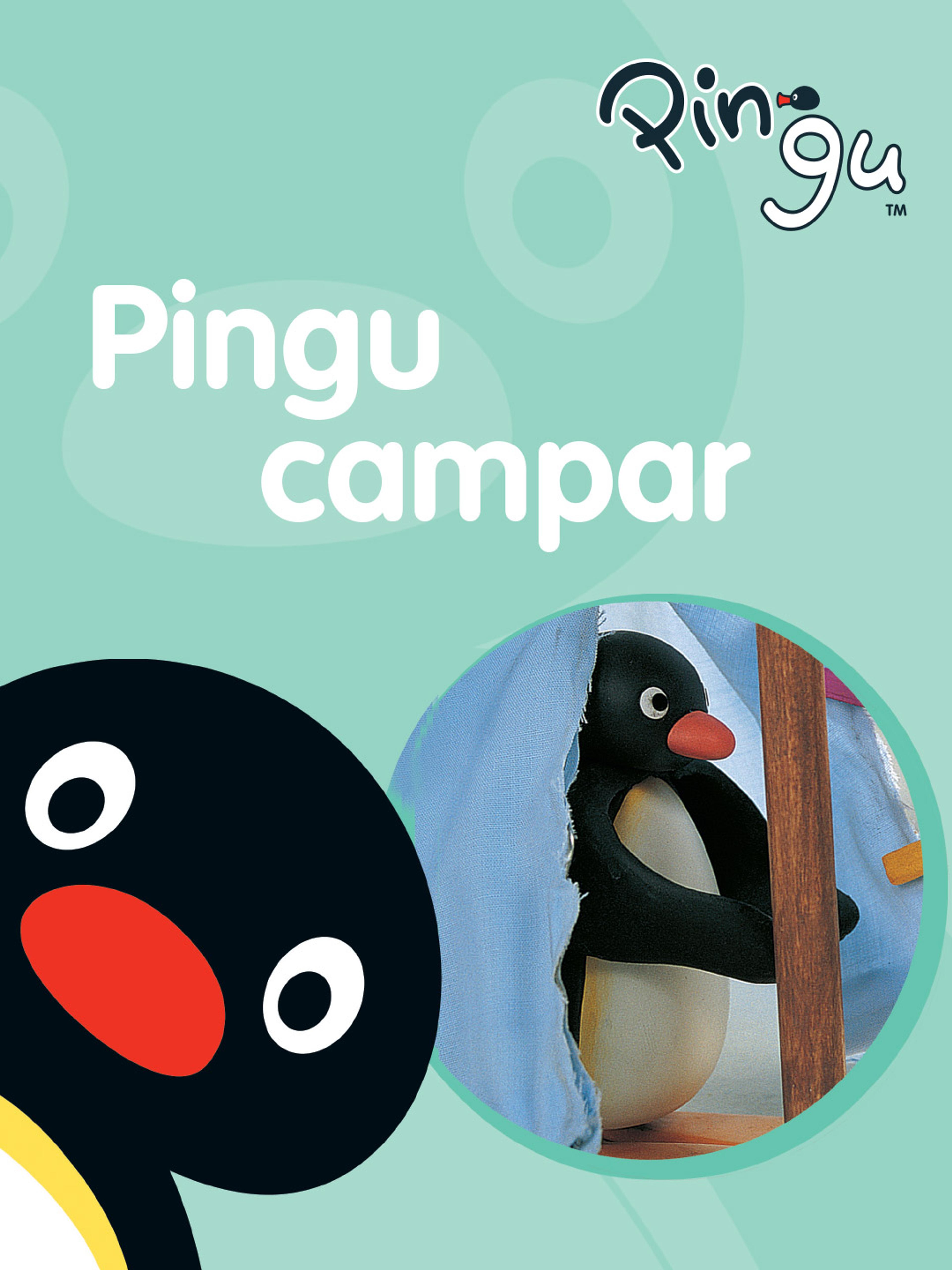 Pingu campar