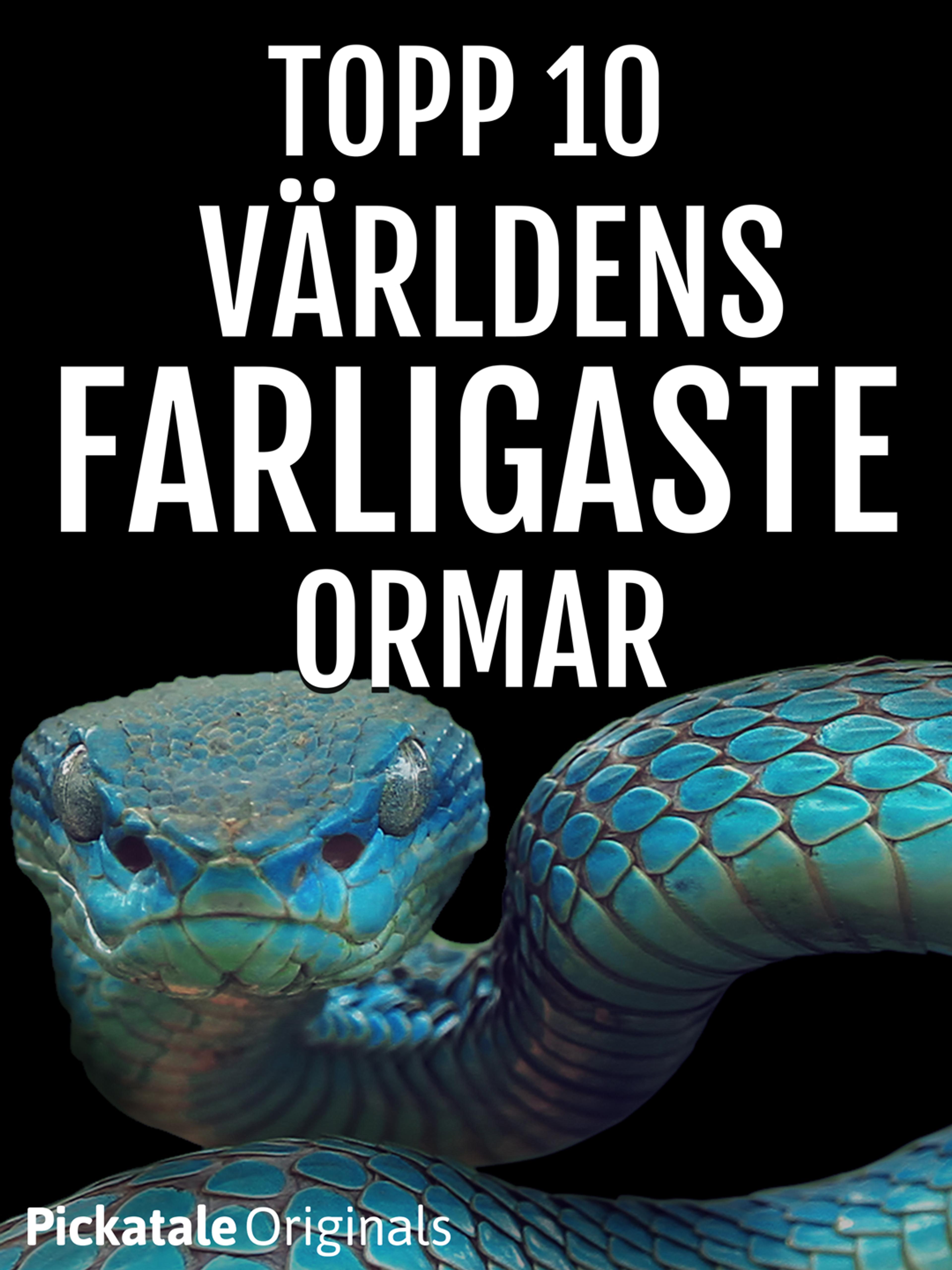 Topp 10: Världens farligaste ormar Topp 10: Världens farligaste ormar