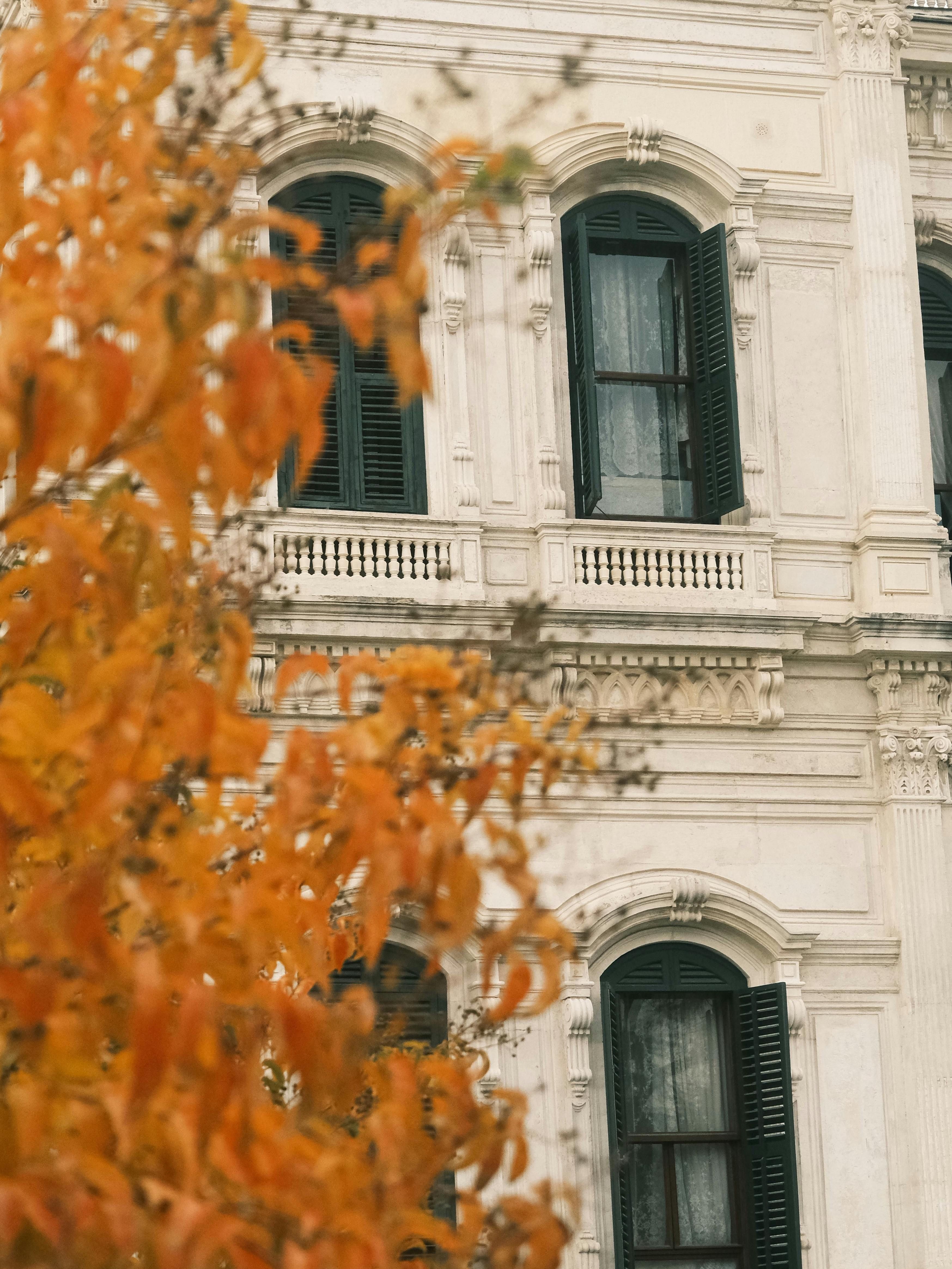 Klassisches Gebäude, teilweise verdeckt von orangefarbenen Herbstblättern.