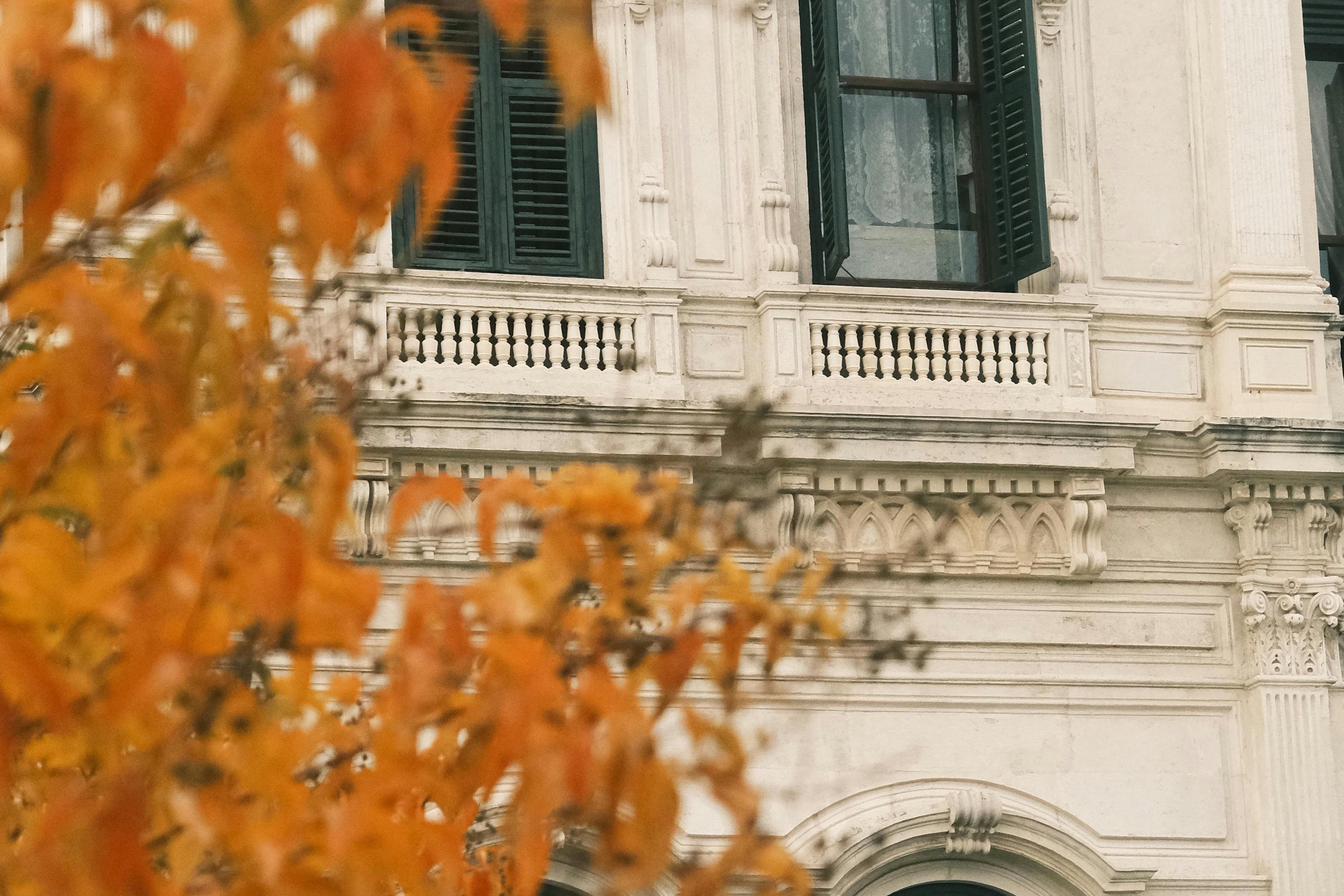 Klassisches Gebäude, teilweise verdeckt von orangefarbenen Herbstblättern.