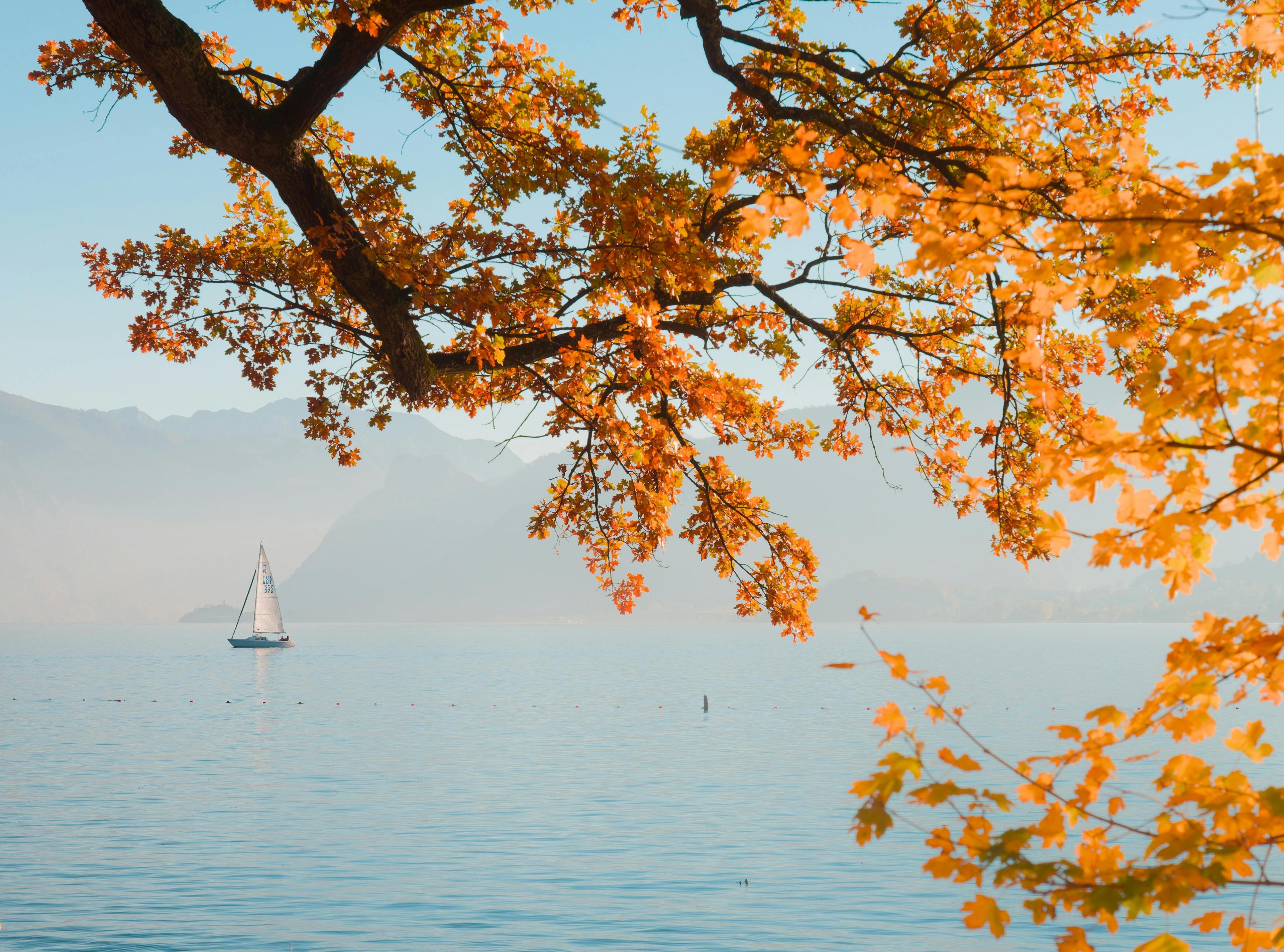 Ein kleines Segelboot auf einem ruhigen See, umgeben von herbstlich gefärbten Bäumen.
