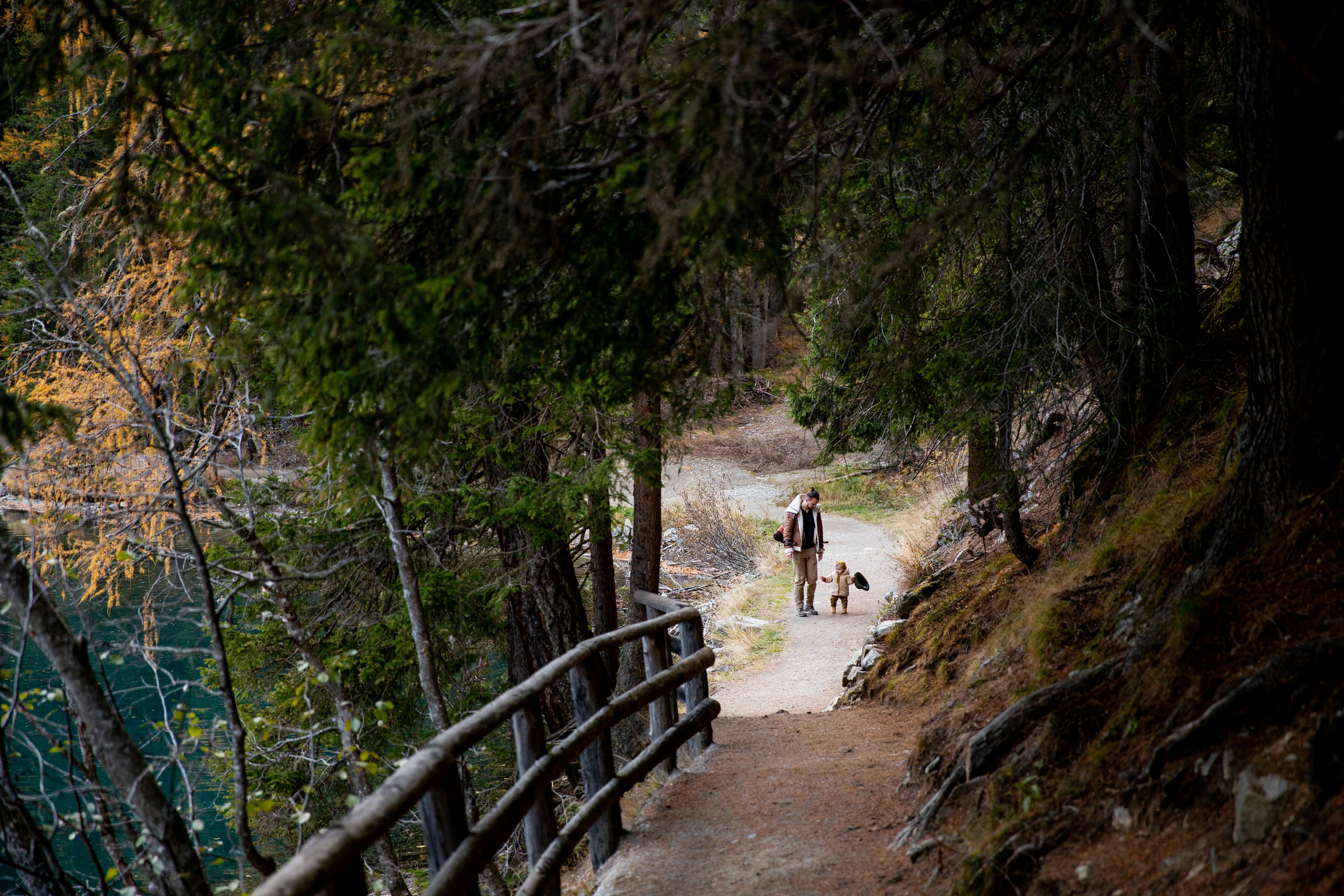 Ein Elternteil mit kleinem Kind beim Wandern im Wald