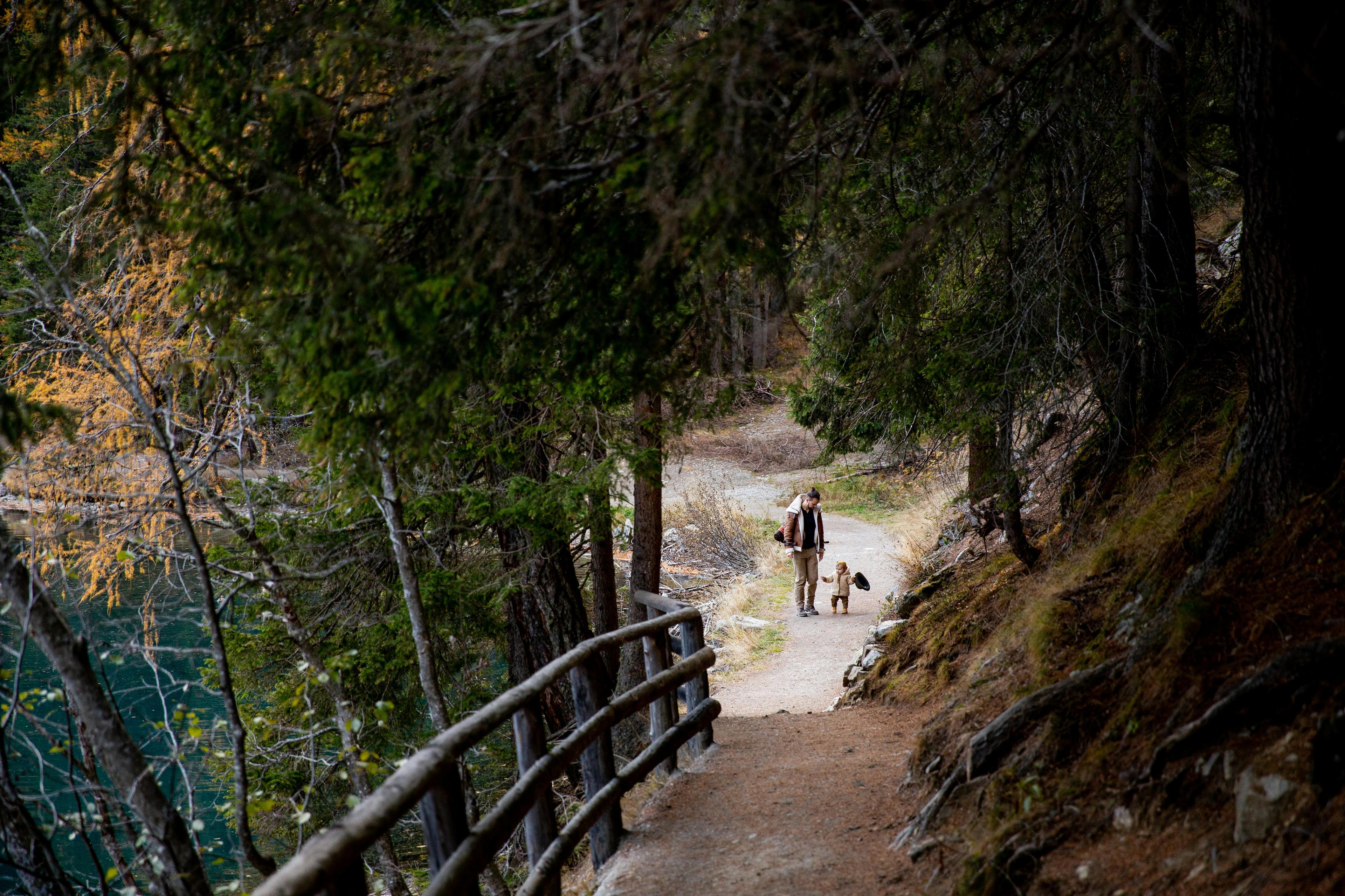 Ein Elternteil mit kleinem Kind beim Wandern im Wald