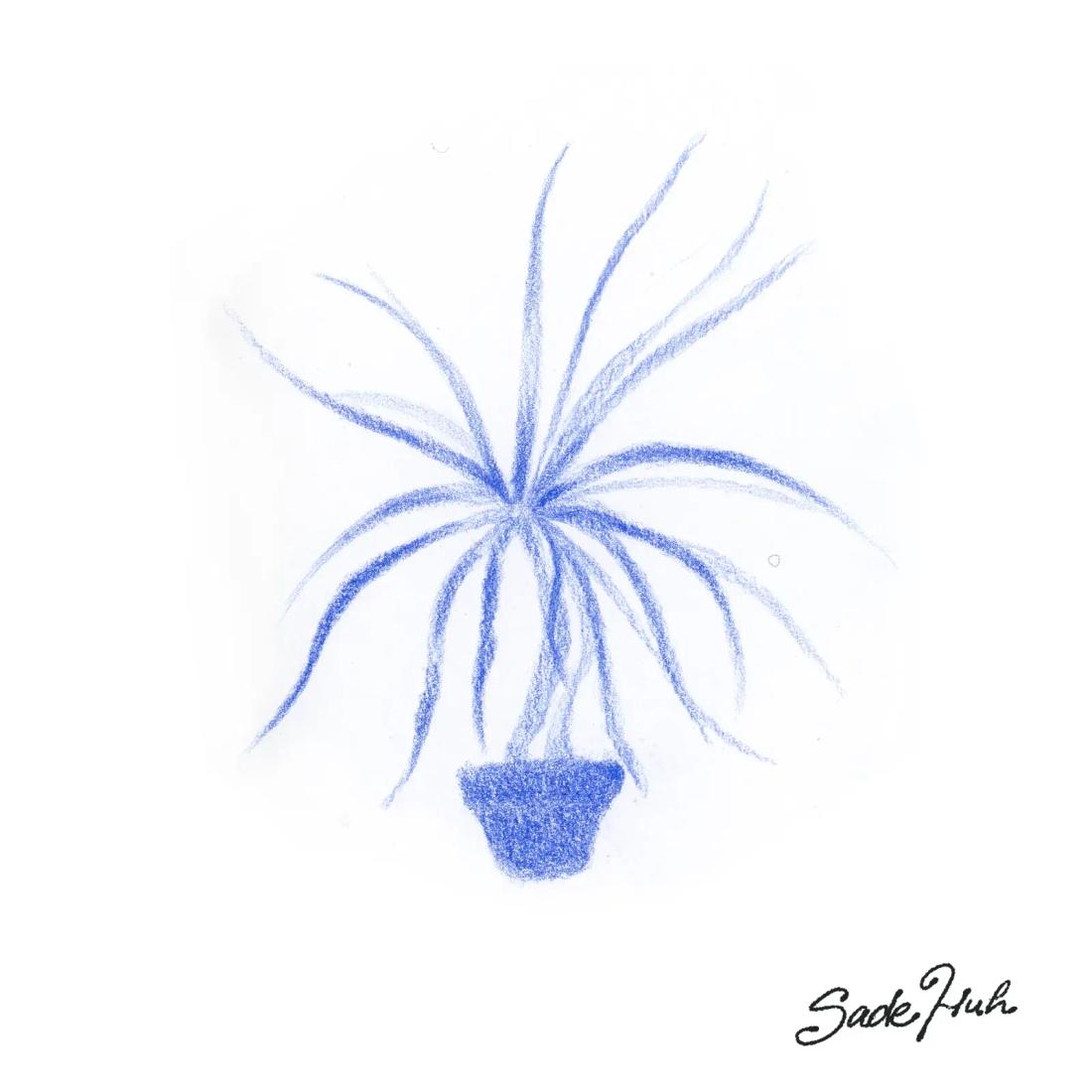 Flash design: "Common Roots"  with Sadé Huh