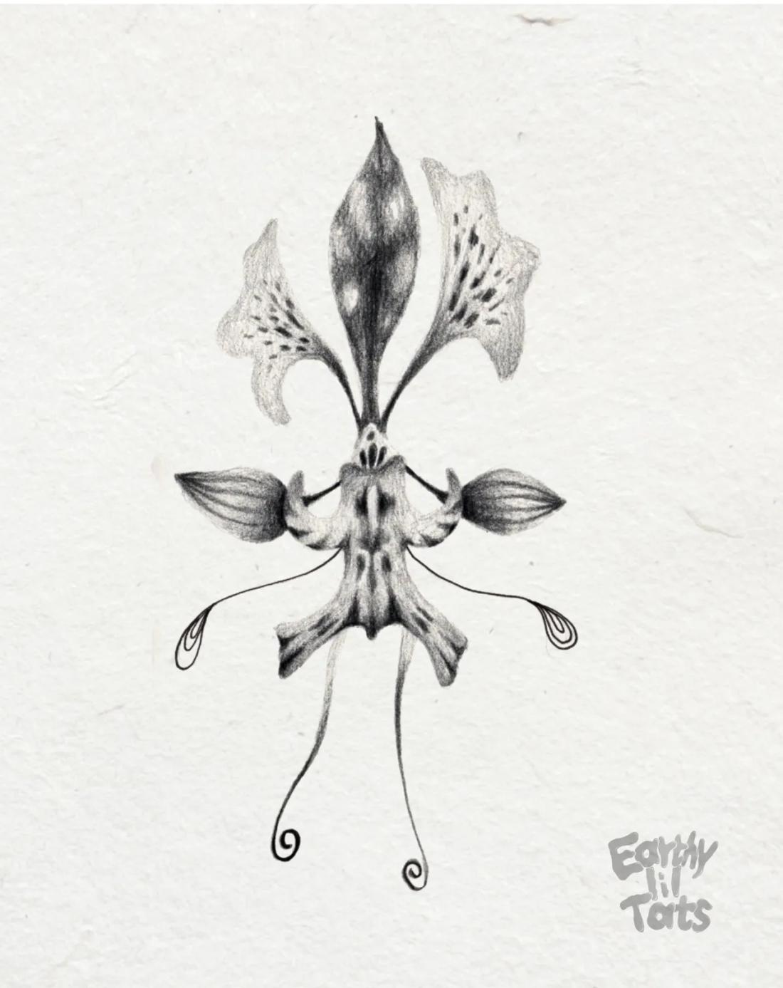 Flash design: Plant relations