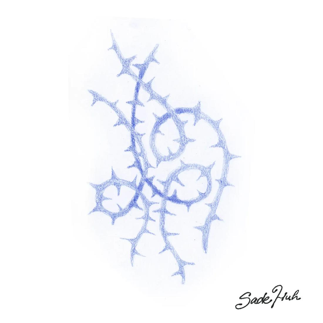 Flash design: "Common Roots"  with Sadé Huh