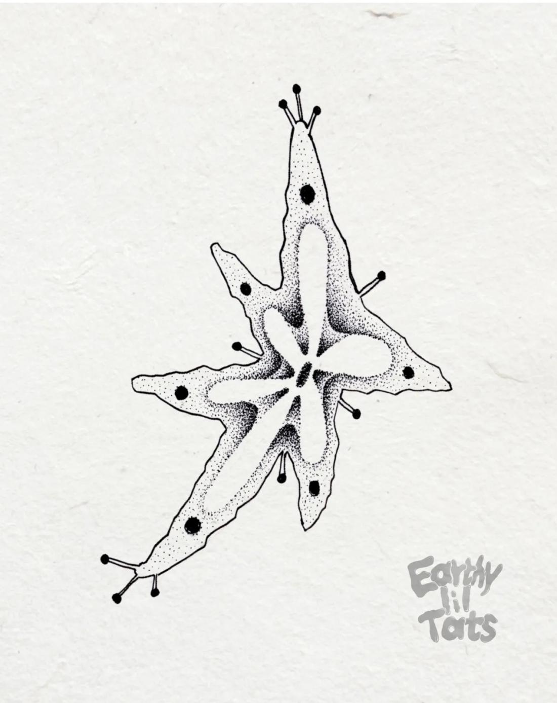 Flash design: Imaginary Creatures