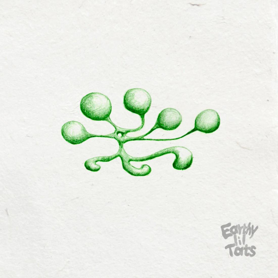 Flash design: 3D twirly wirlies