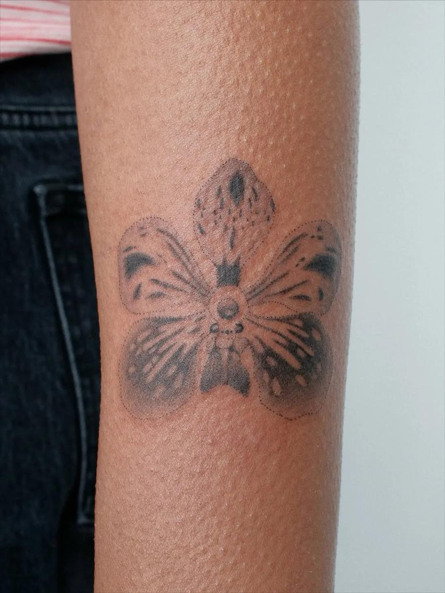 Orchid, forearm