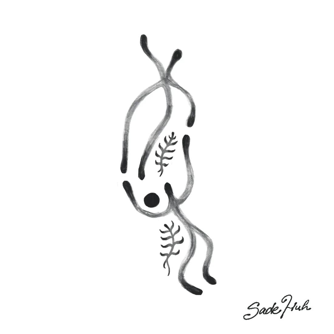 Flash design: "Common Roots"  with Sadé Huh