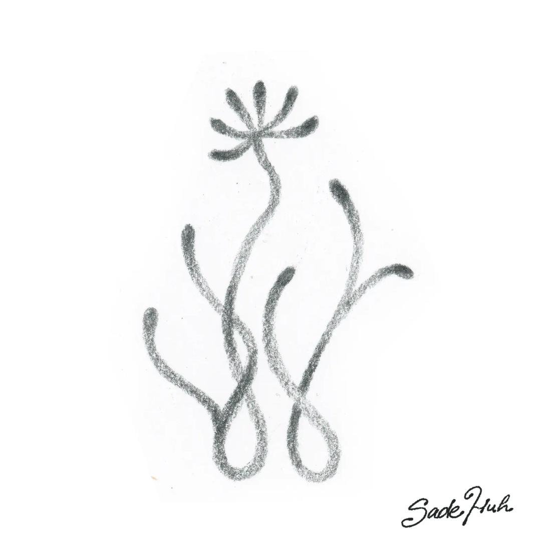 Flash design: "Common Roots"  with Sadé Huh