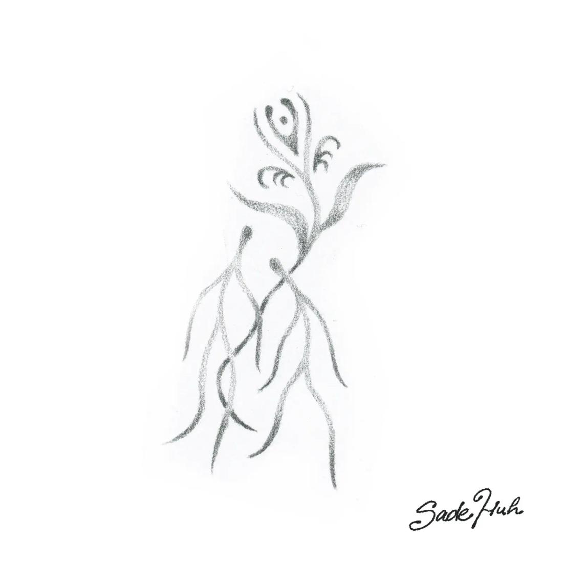 Flash design: "Common Roots"  with Sadé Huh