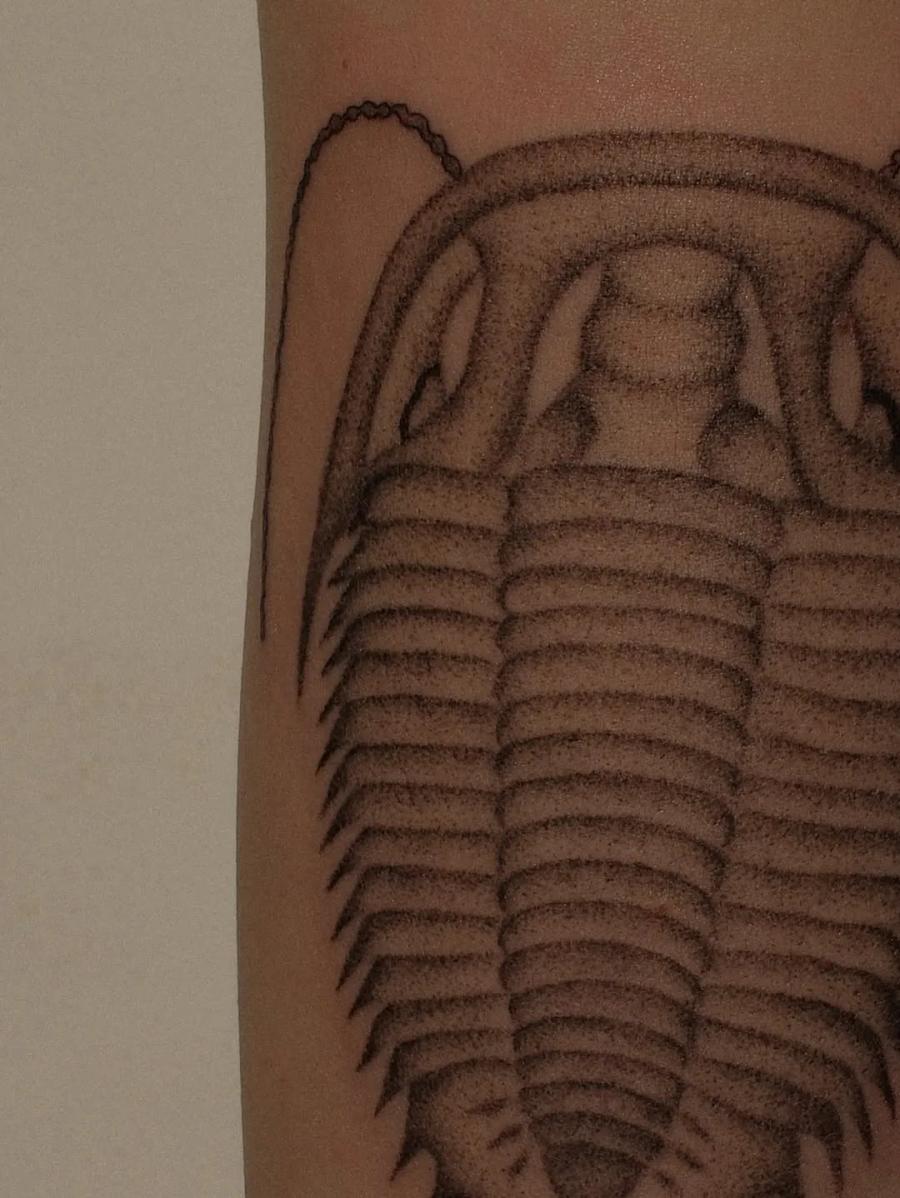 Healed work