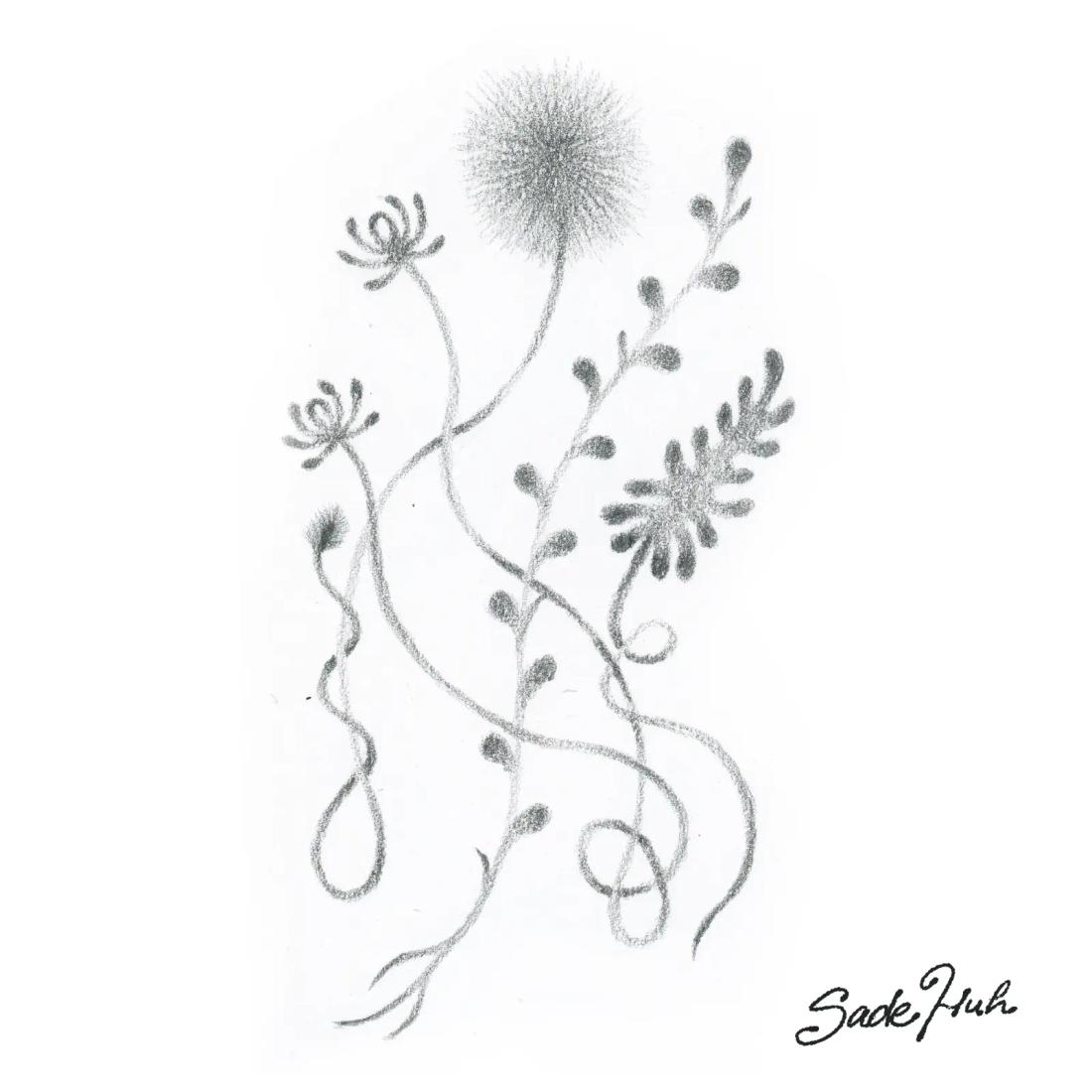 Flash design: "Common Roots"  with Sadé Huh