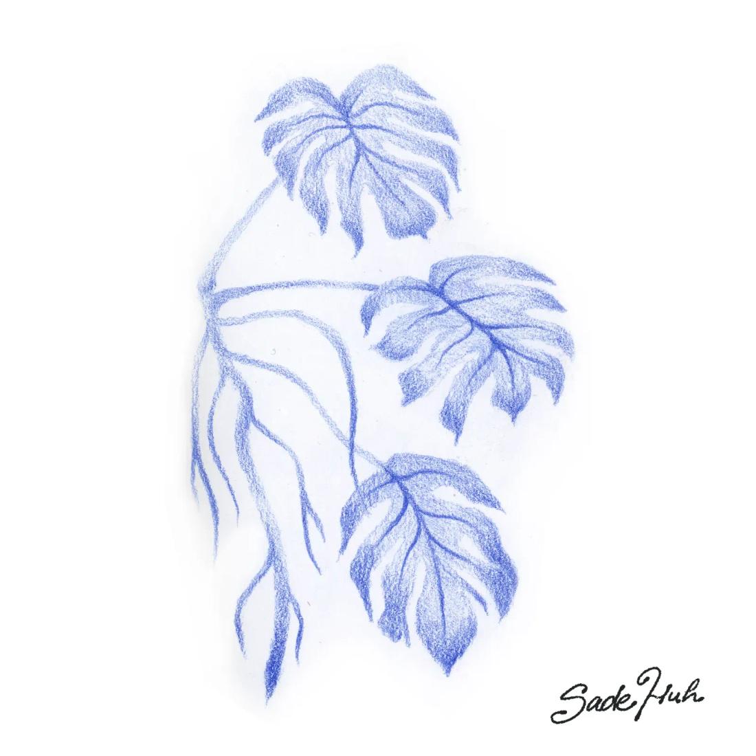 Flash design: "Common Roots"  with Sadé Huh