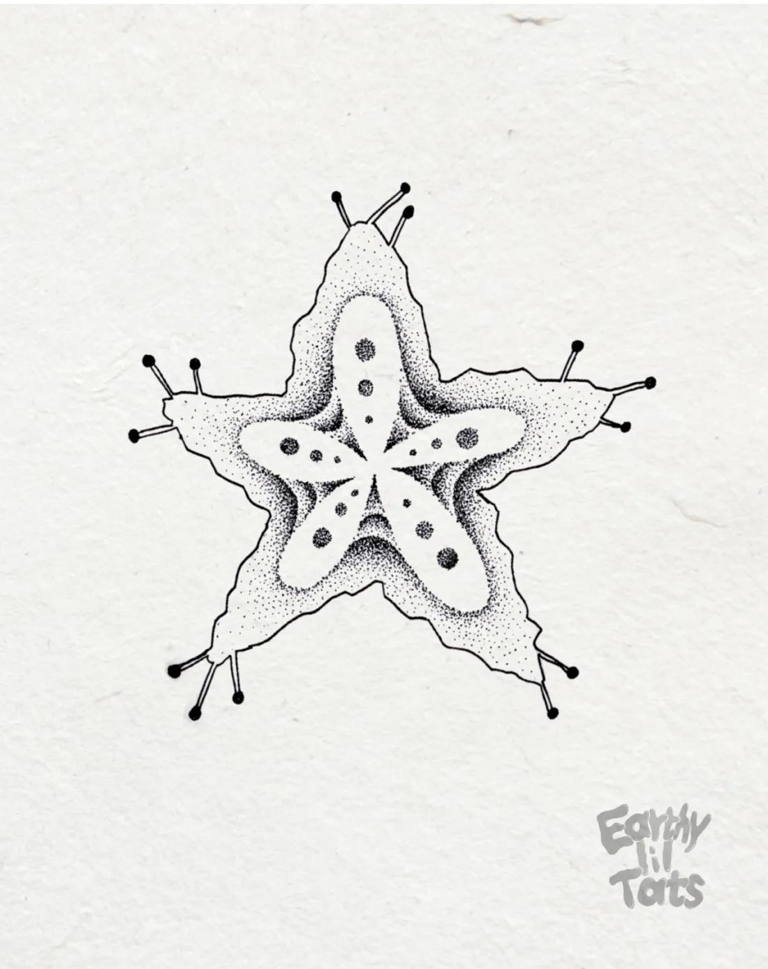 Flash design: Imaginary Creatures