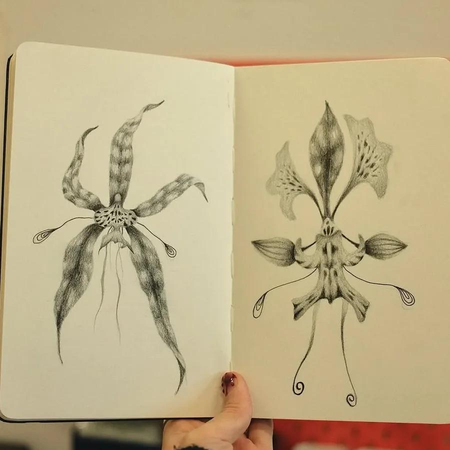 Orchid studies