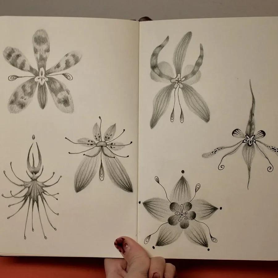 Alien flowers, pencil