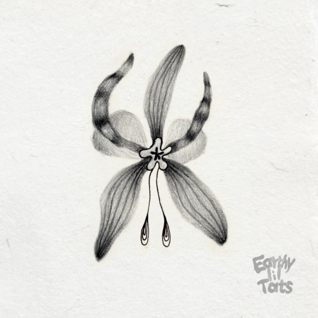 Flash design: Plant relations