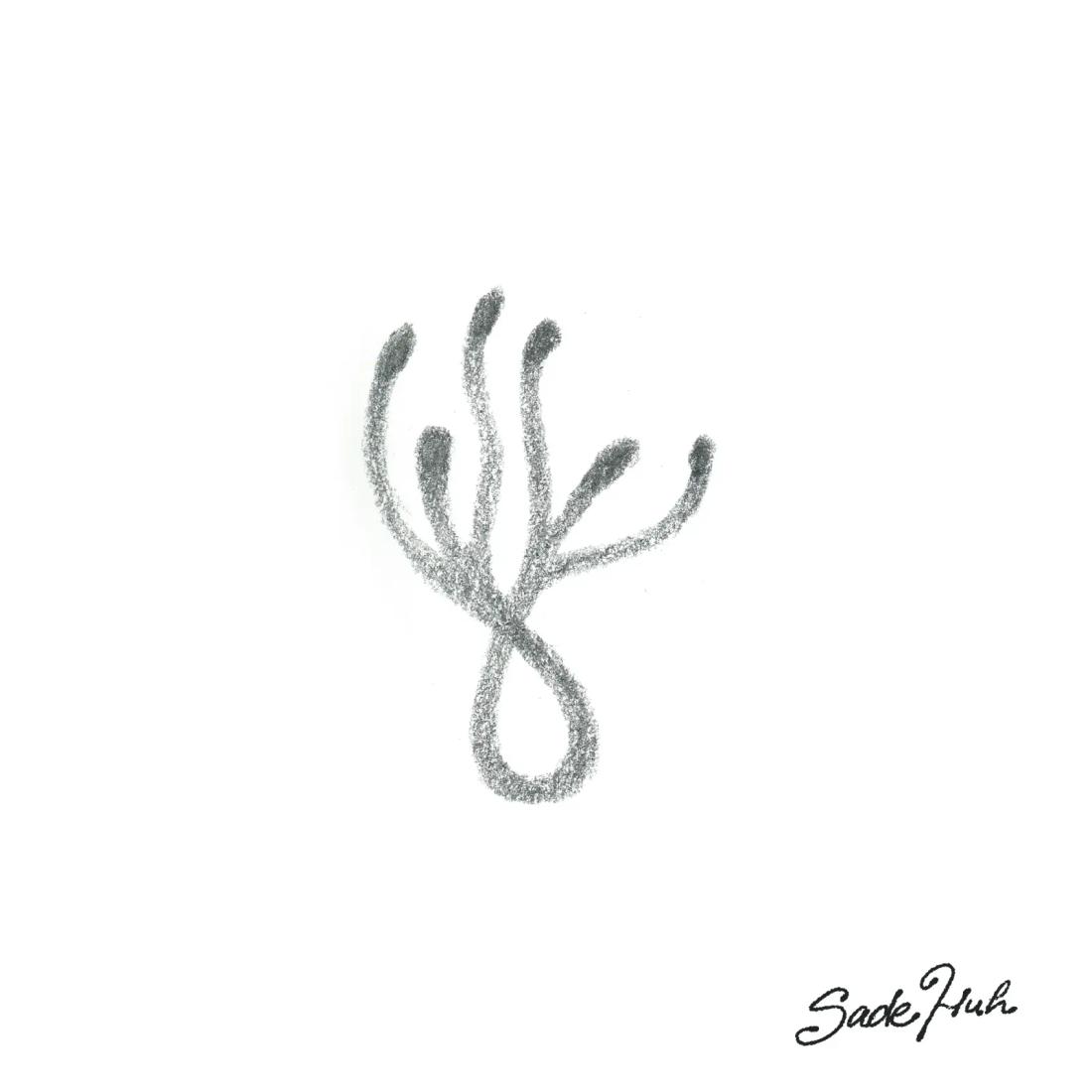 Flash design: "Common Roots"  with Sadé Huh