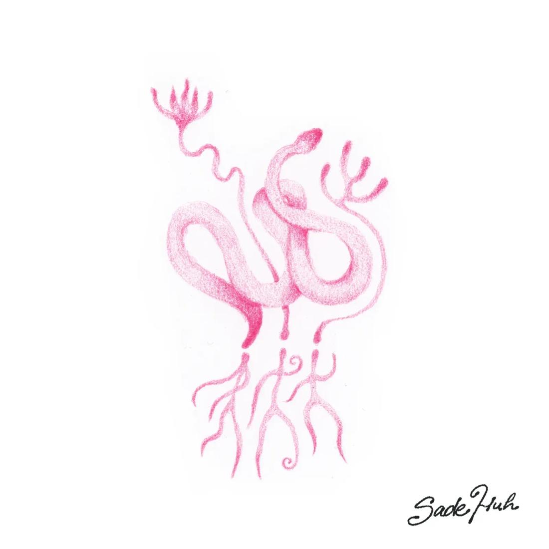 Flash design: "Common Roots"  with Sadé Huh