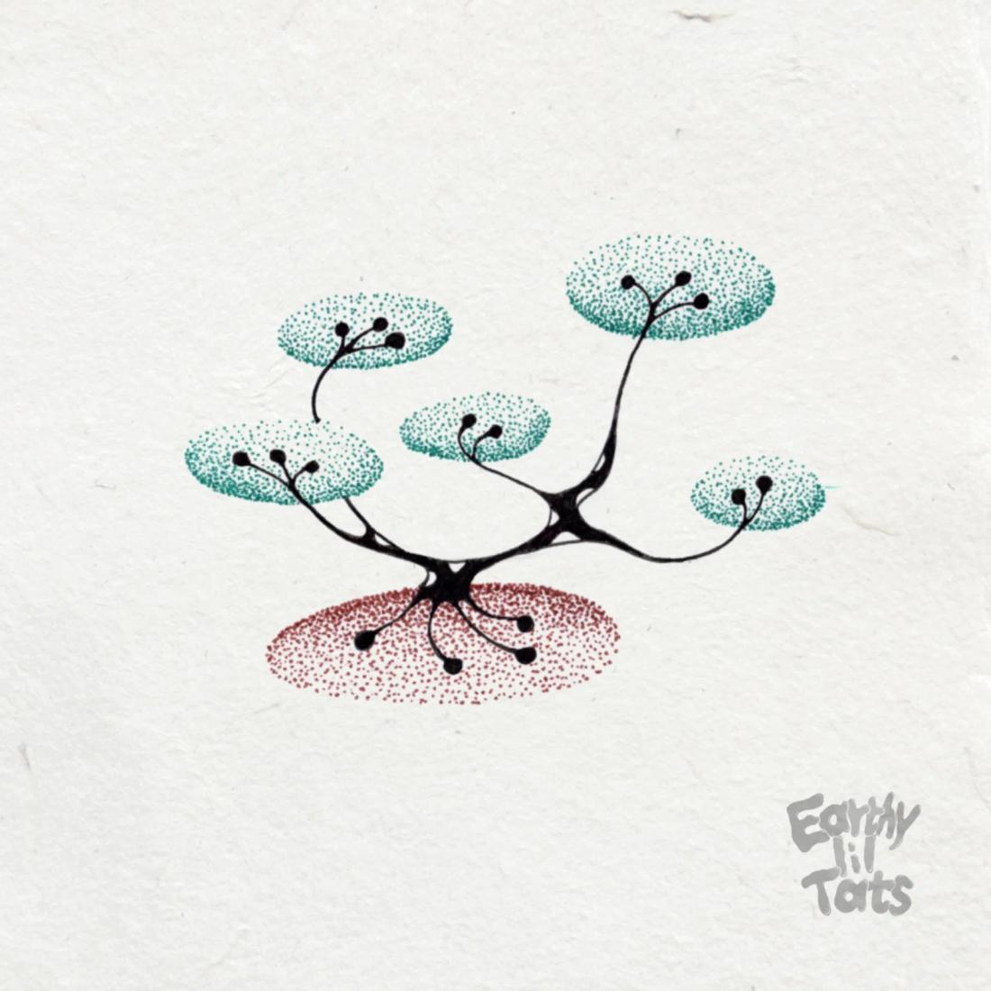 Flash design: Plant relations