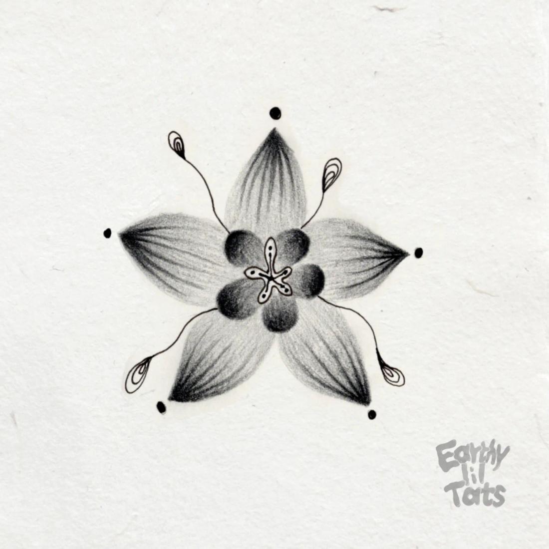 Flash design: Plant relations
