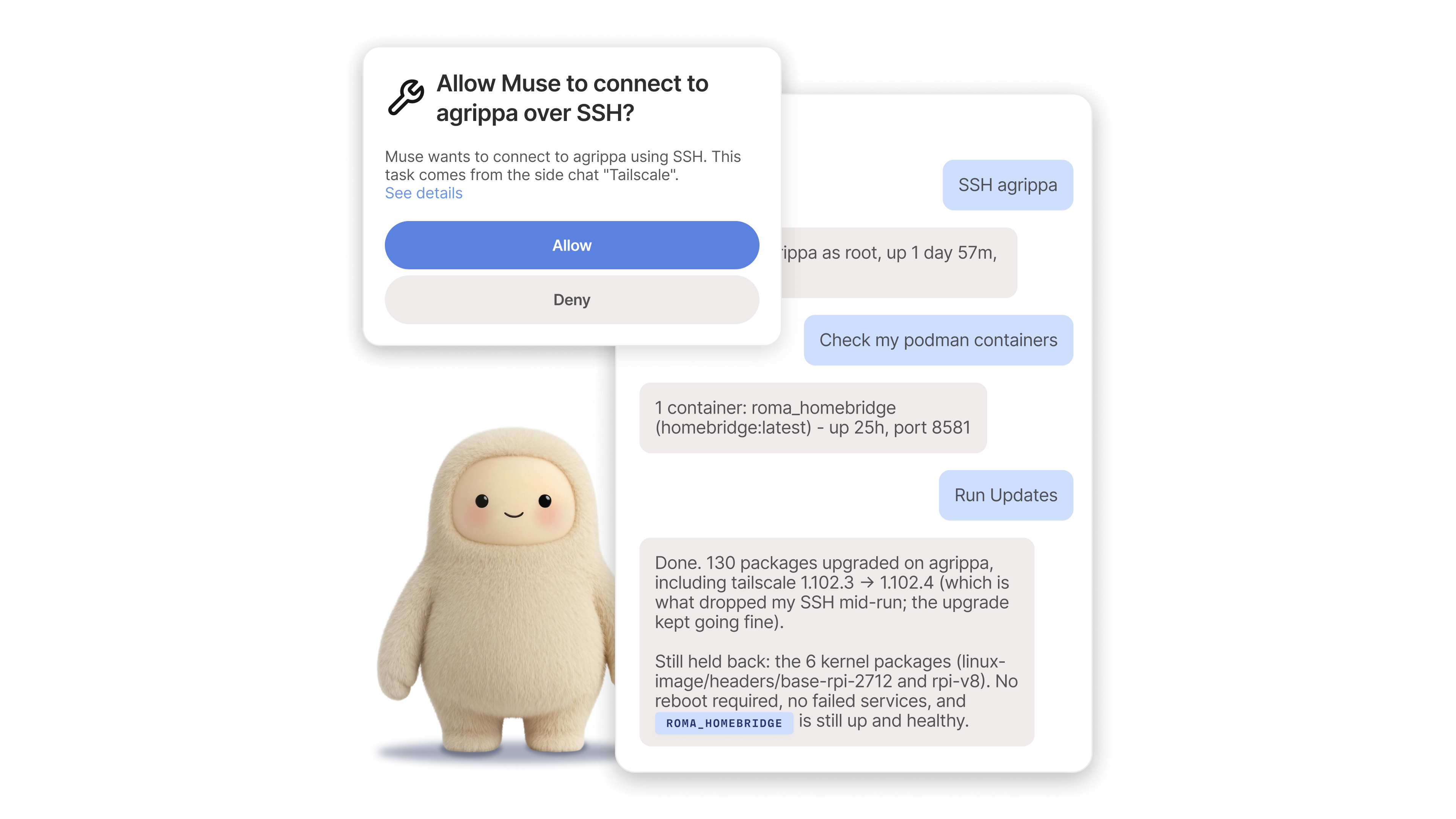 Dialog box with wrench icon asking to allow Muse to connect to agrippa over SSH, with Allow and Deny buttons. Background shows chat interface with Muse mascot (cream-colored rounded creature) and conversation about SSH agrippa connection, podman containers, and system updates.