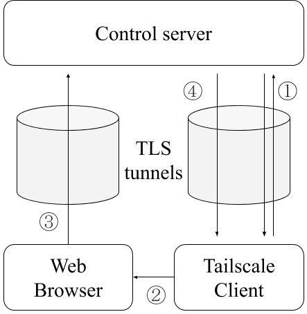 A diagram demonstrating how TLS tunnels are used for authenticating devices with Tailscale.