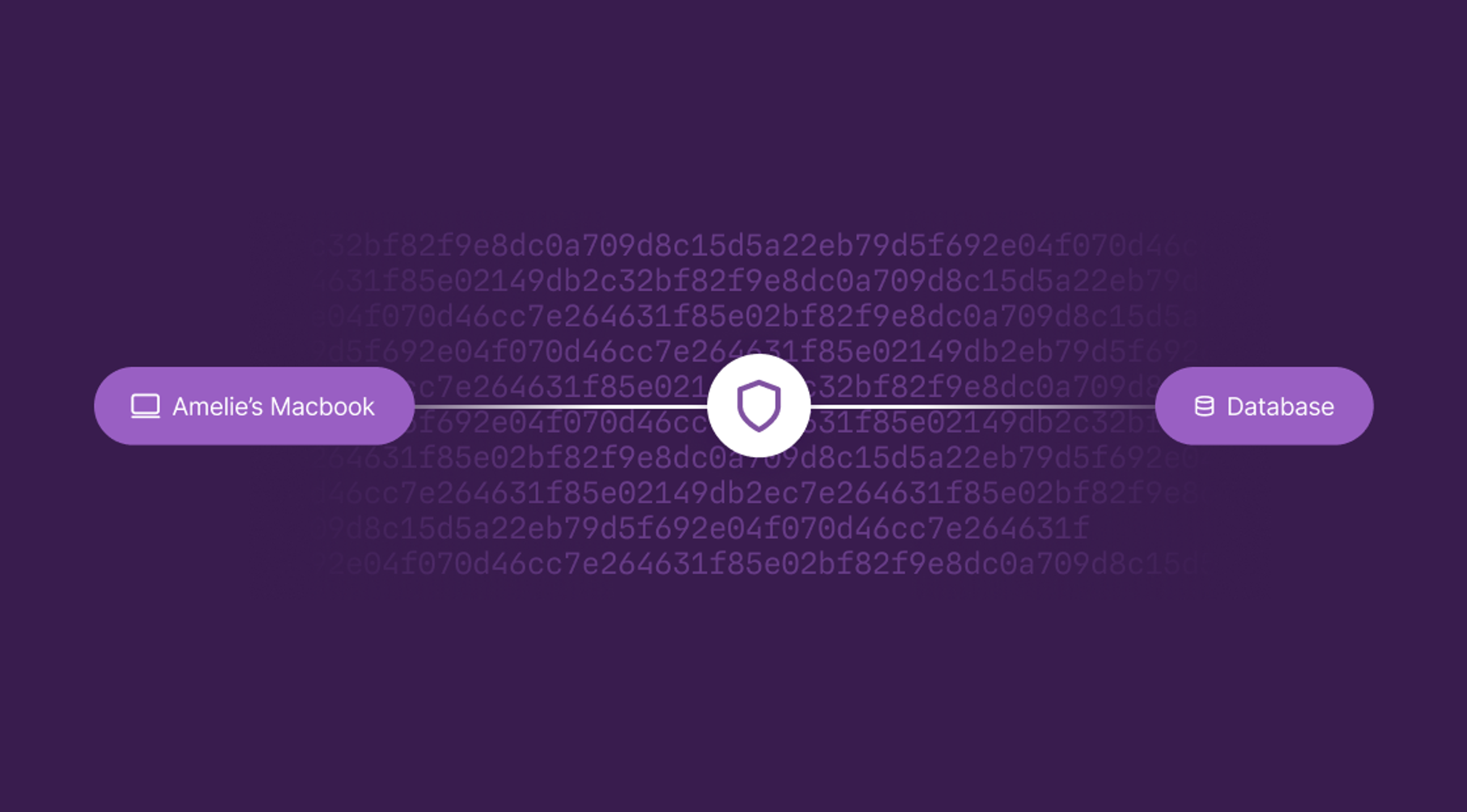 Purple diagram shows two initial connections, a macbook and database.