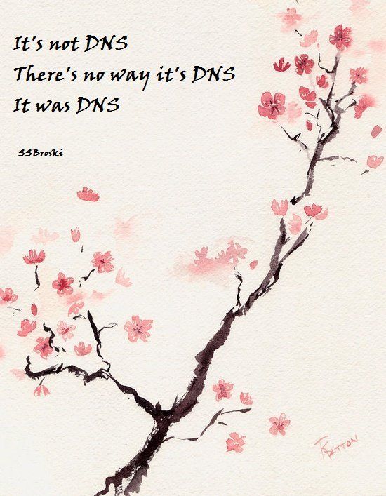 Cherry blossoms on parchment with the inscription 'It's not DNS, there's no way it was DNS, it was DNS' credited to SSBroski