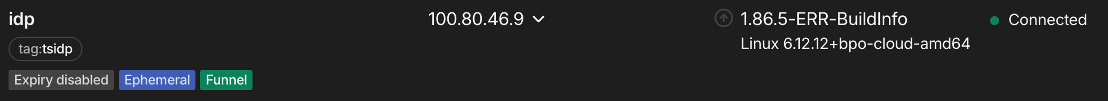 A row from the Tailscale admin console, showing a node, idp, as connected, with "tag:tsidp," flags for expiry disabled, ephemeral, and Funnel, with a Linux OS and a 100.80.46.9 IP address.