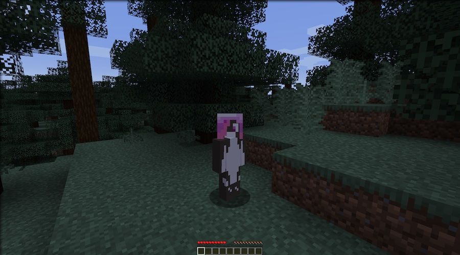 An in-game screenshot of the author's Minecraft avatar in a forest biome