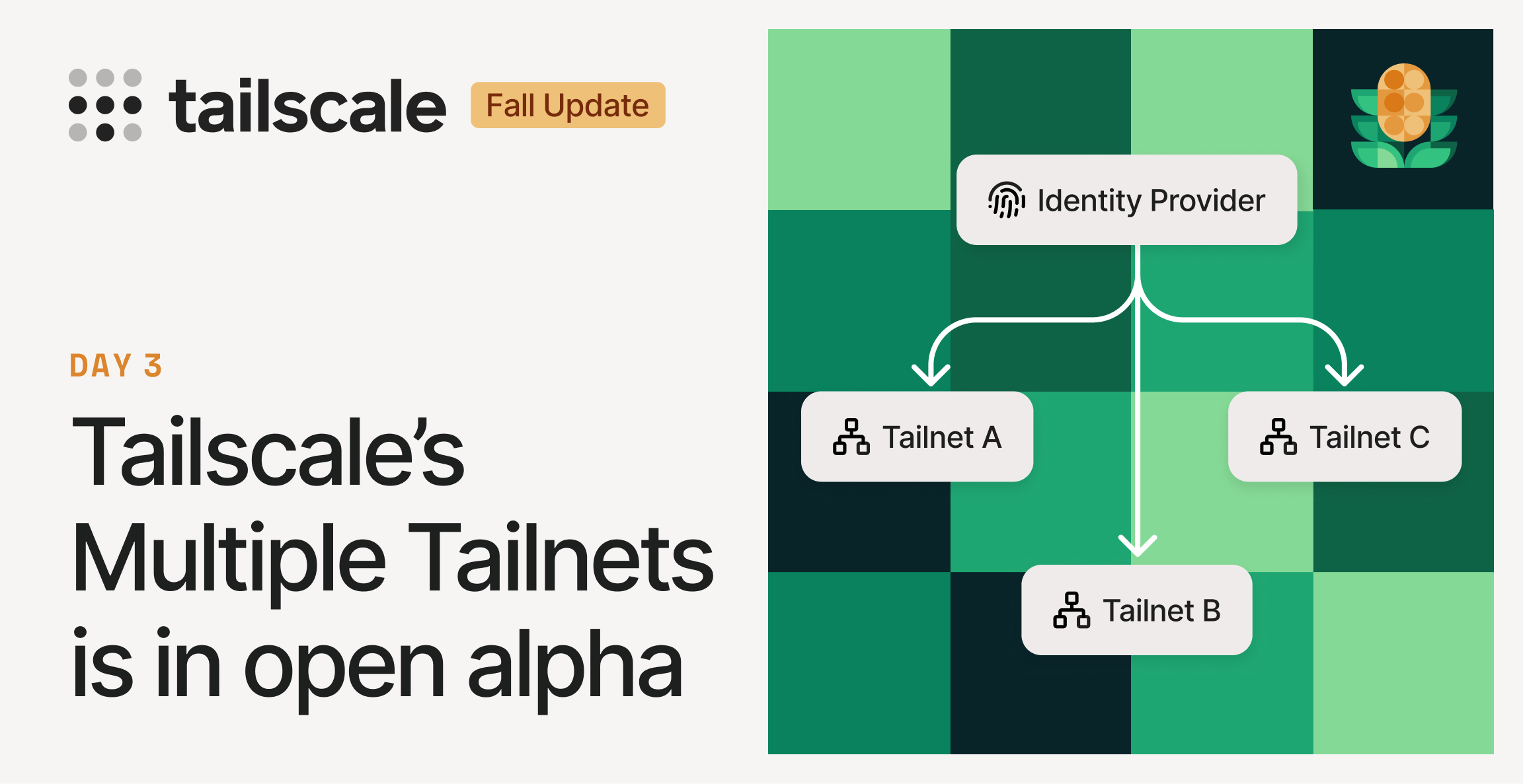 One Organization, Multiple Tailnets