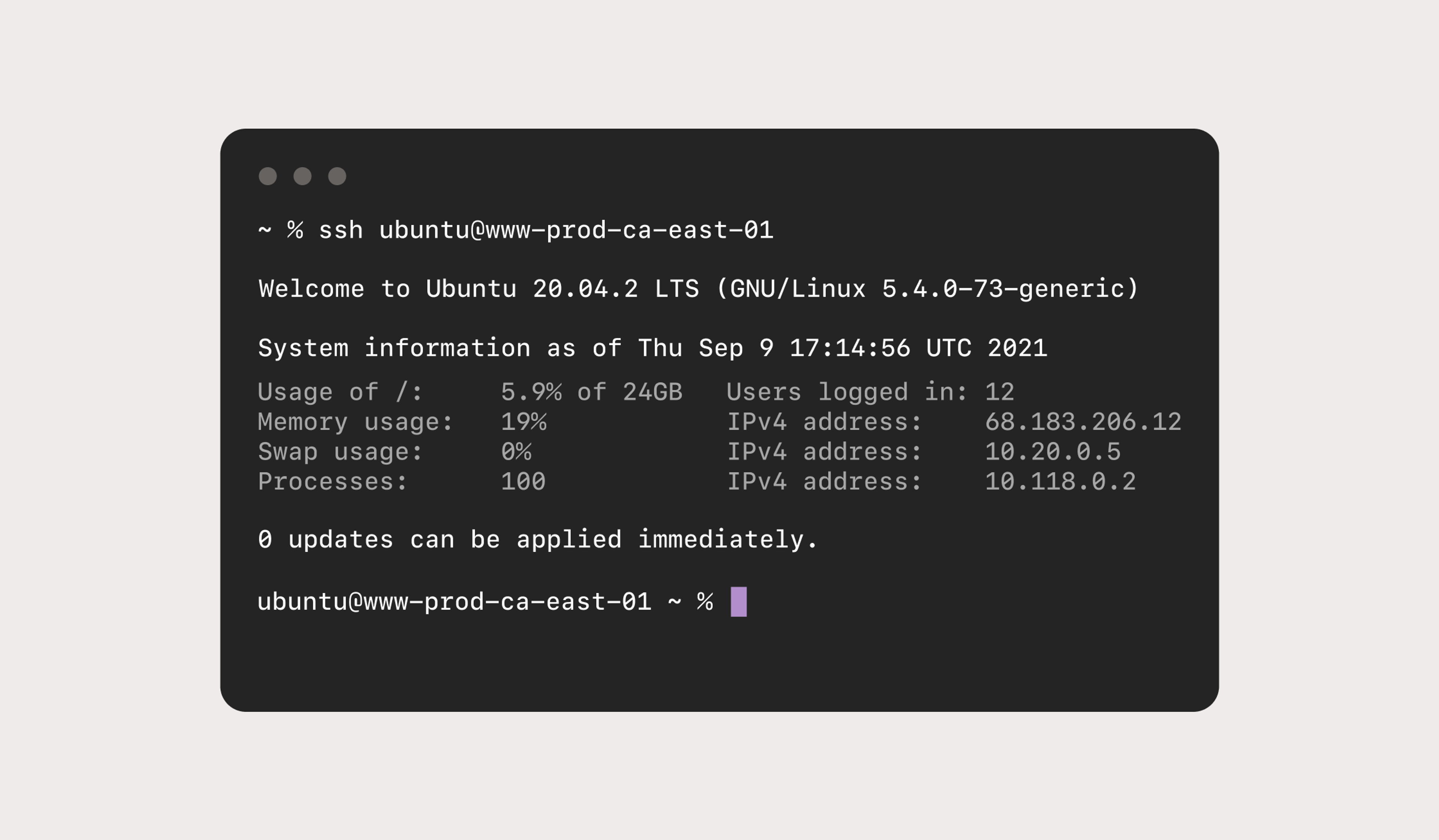 Command line window showing an active SSH connection