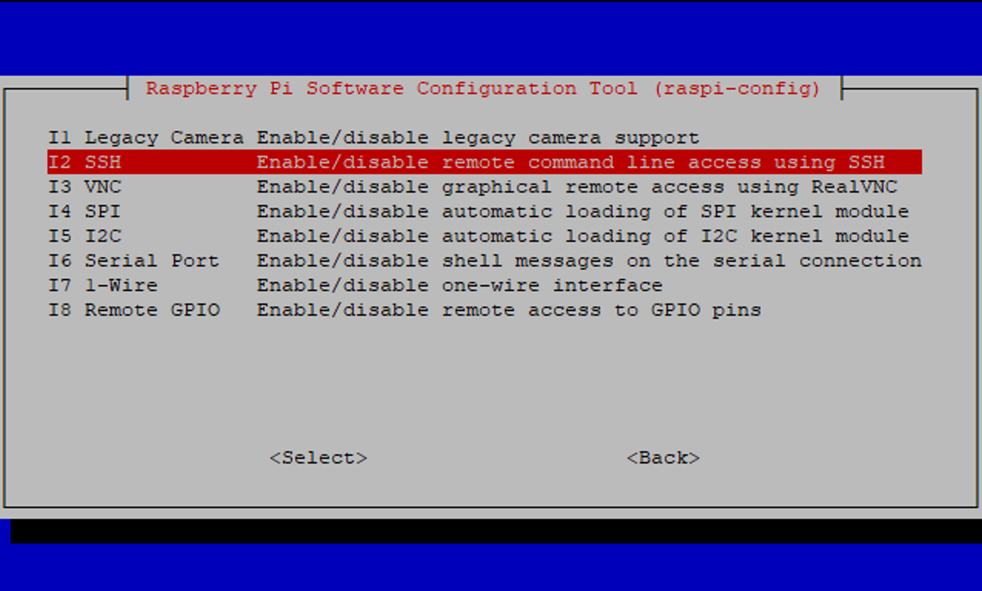 raspi-config SSH