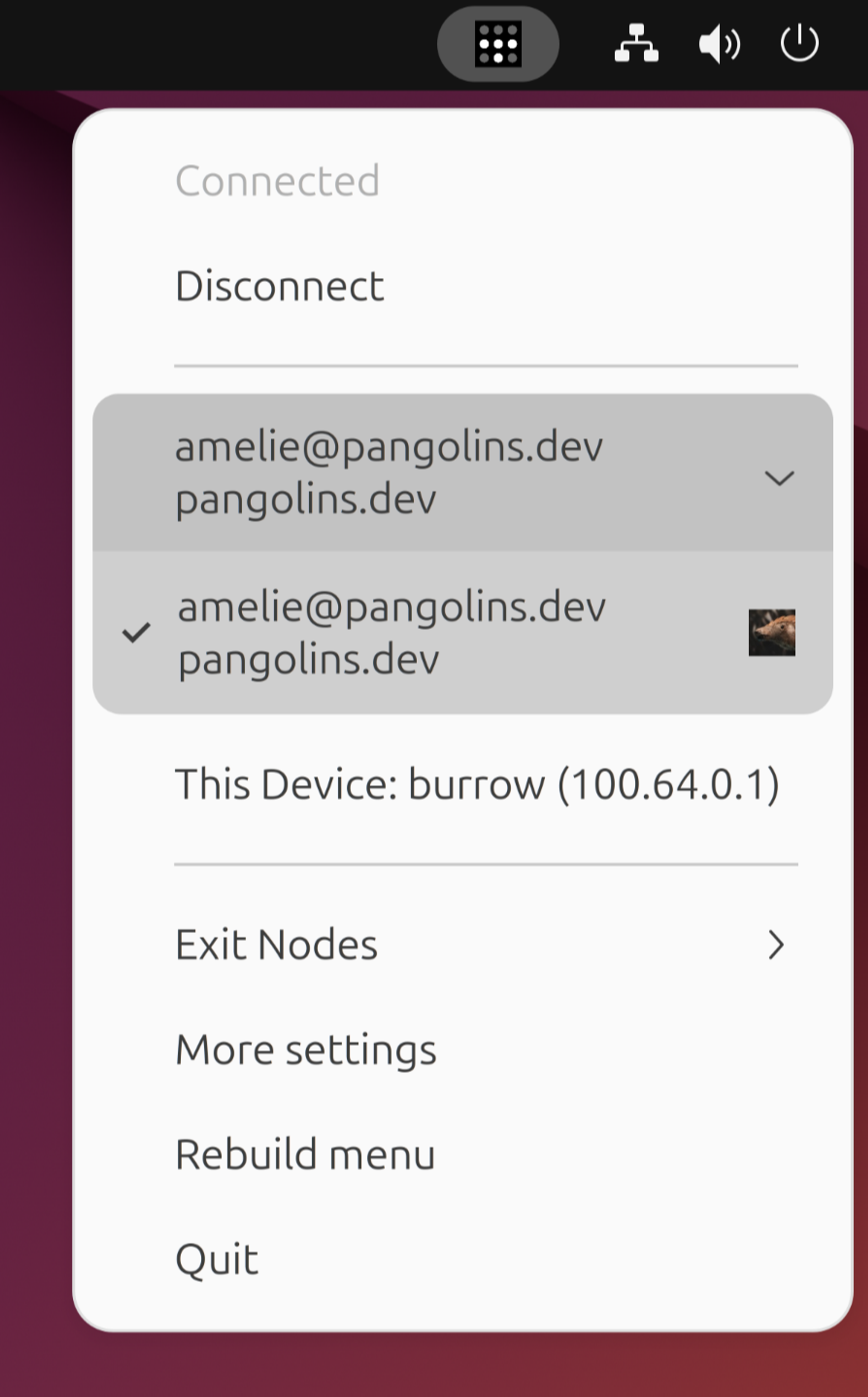Screenshot of a Tailscale system tray tool, showing "Connected" status, a "Disconnect" button, a signed-in account, "This Device" with name and IP, and options for Exit Nodes, More settings, Rebuild menu, and Quit.