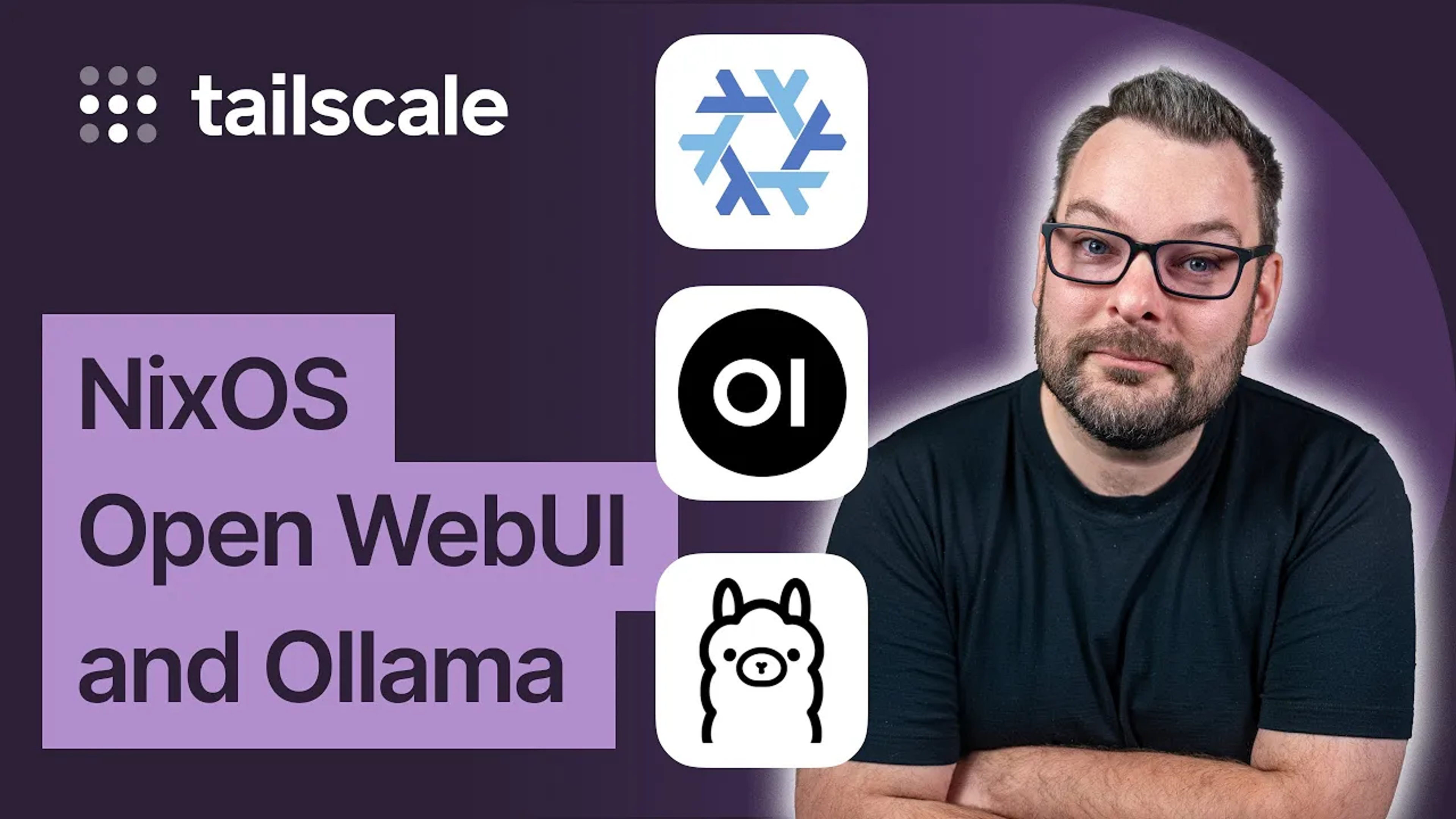 Alex with NixOS, Open WebUI, Ollama logos