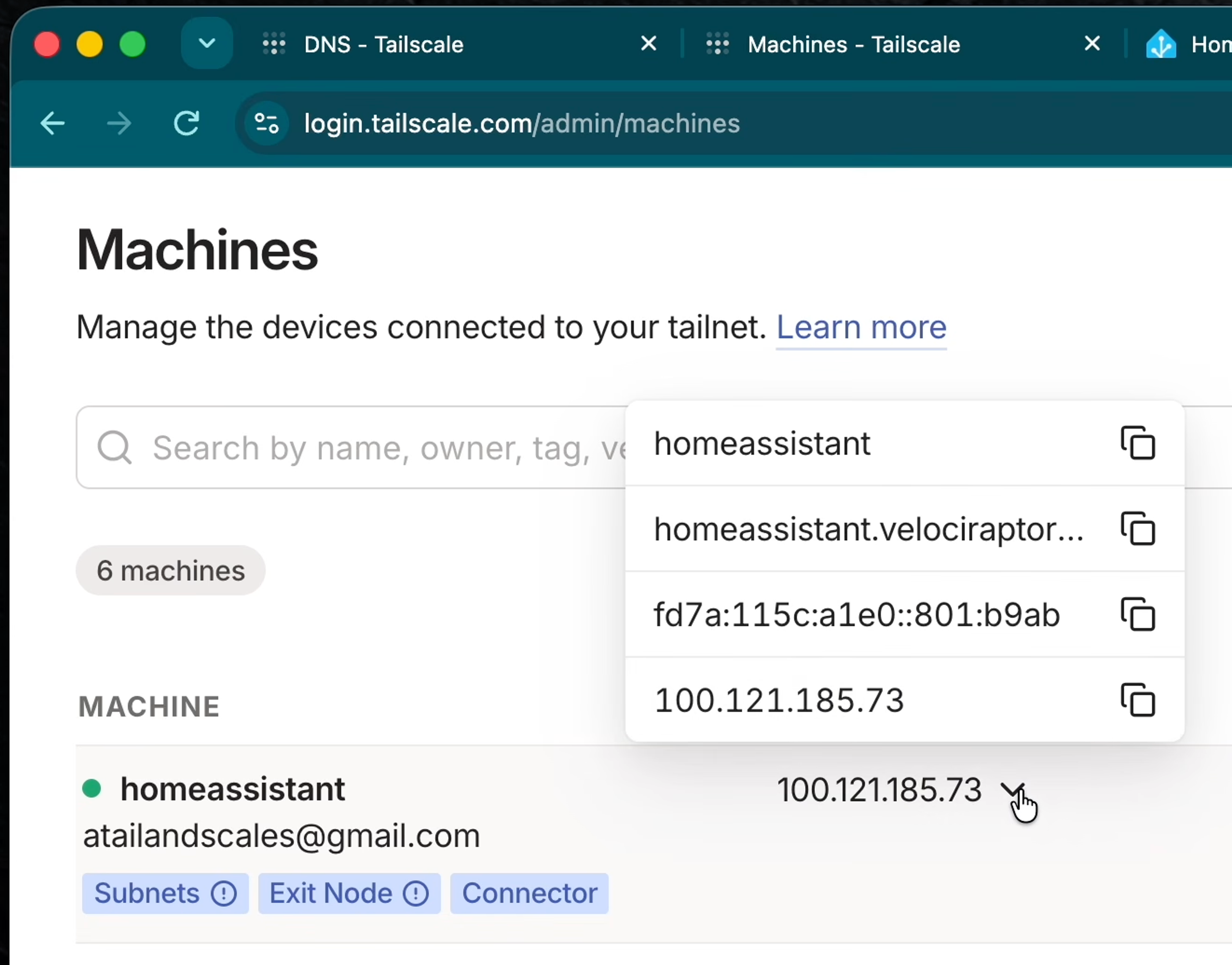 Tailscale admin dashboard Machines page showing a list of 6 connected devices. A search dropdown displays four results: homeassistant, homeassistant.velocirraptor, an IPv6 address fd7a:115c:a1e0::801:b9ab, and IP address 100.121.185.73. The homeassistant machine is listed, and status indicator showing it is online.