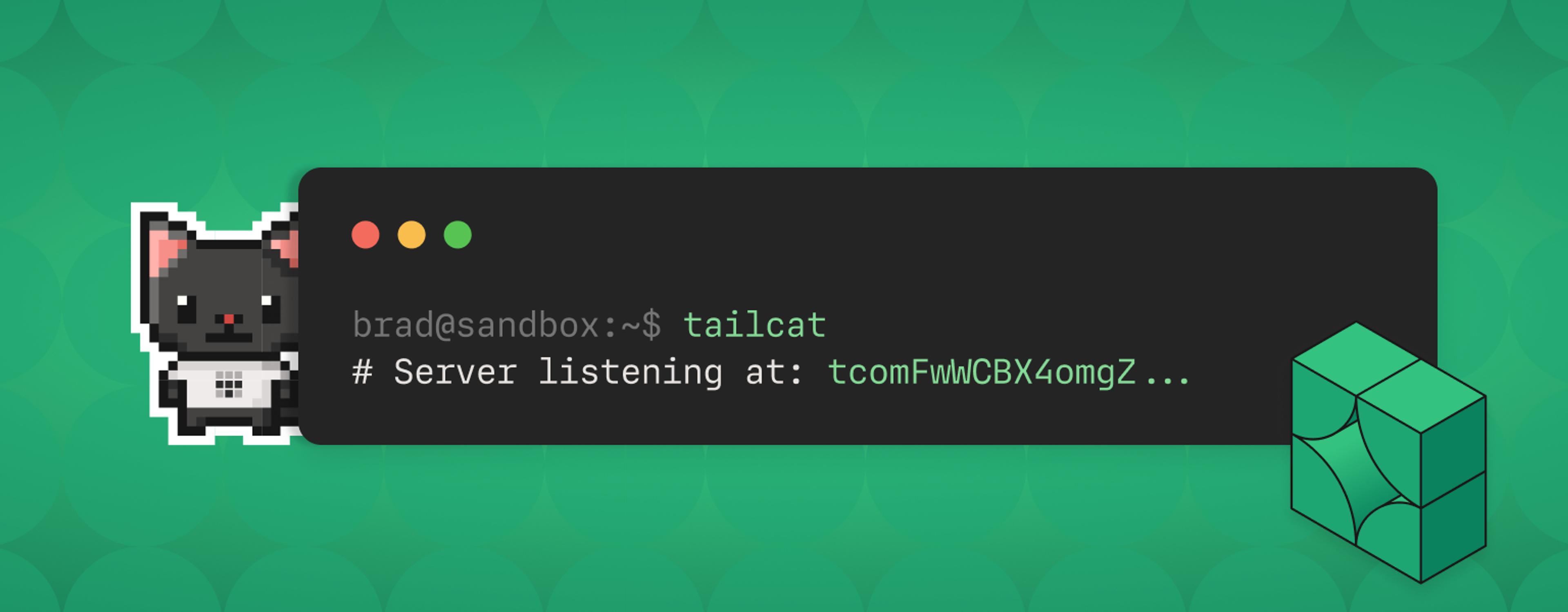 Pixel art black cat with pink ears on green background next to terminal window showing 'tailcat' command and server listening message with red, yellow, and green status dots.