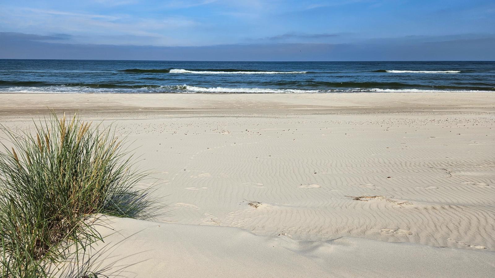 Trawa wydmowa i pofalowany wiatrem piasek na pustej plaży w Rowach