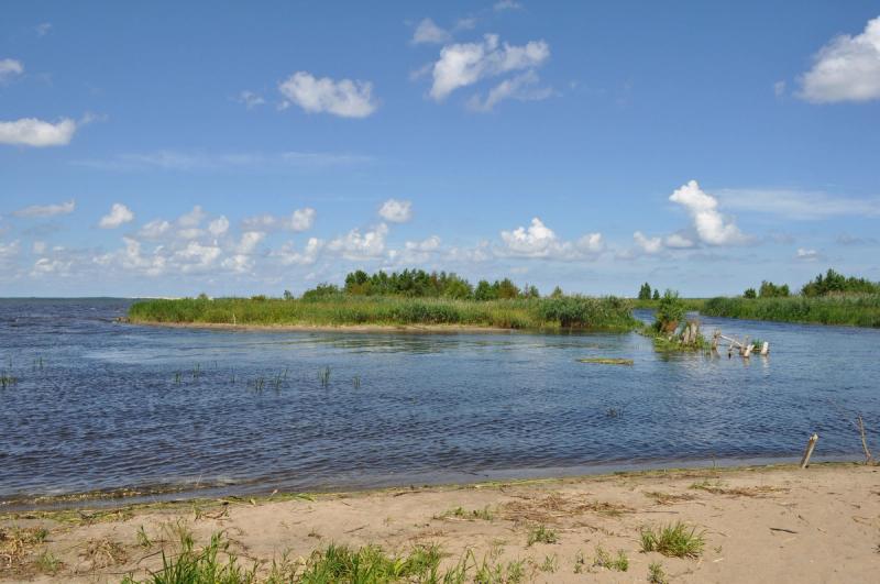 Jezero Łebsko