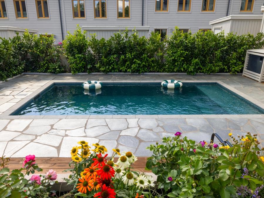 Sommarblommor i förgrunden med poolen bakom