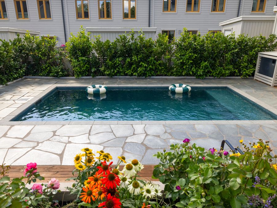 Sommarblommor i förgrunden med poolen bakom