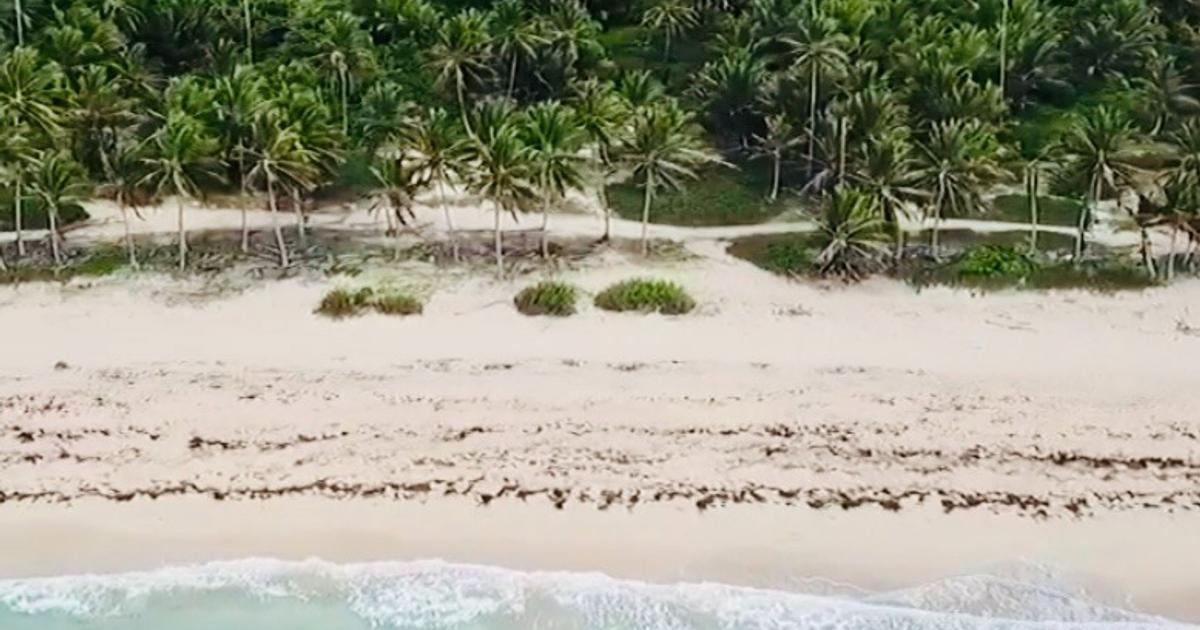 Beachfront Land in Uvero Alto | Hotel or Premium Residential Development Opportunity