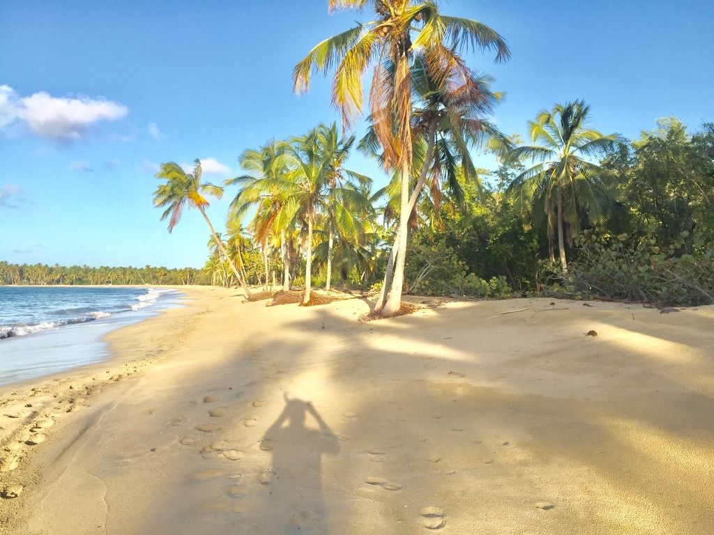 Beachfront Land in Playa Limón | Boutique Investment Gem adjacent to Laguna Limón