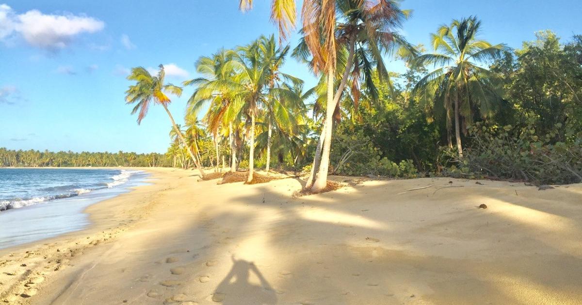 Beachfront Land in Playa Limón | Boutique Investment Gem adjacent to Laguna Limón