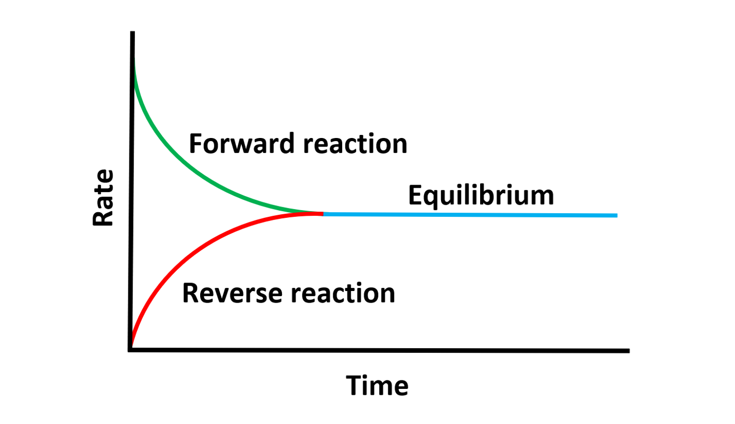 Dynamic Equilibrium